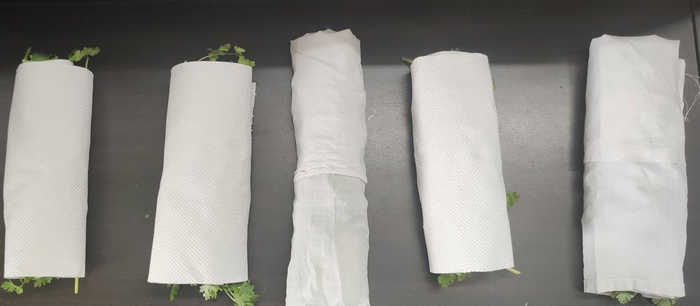 coriander leaves wrapped in paper towel and cotton towel