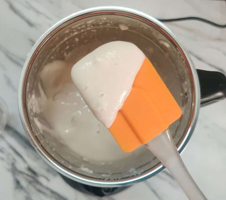 Prestige Iris Plus Mixer Grinder Review Everything Better