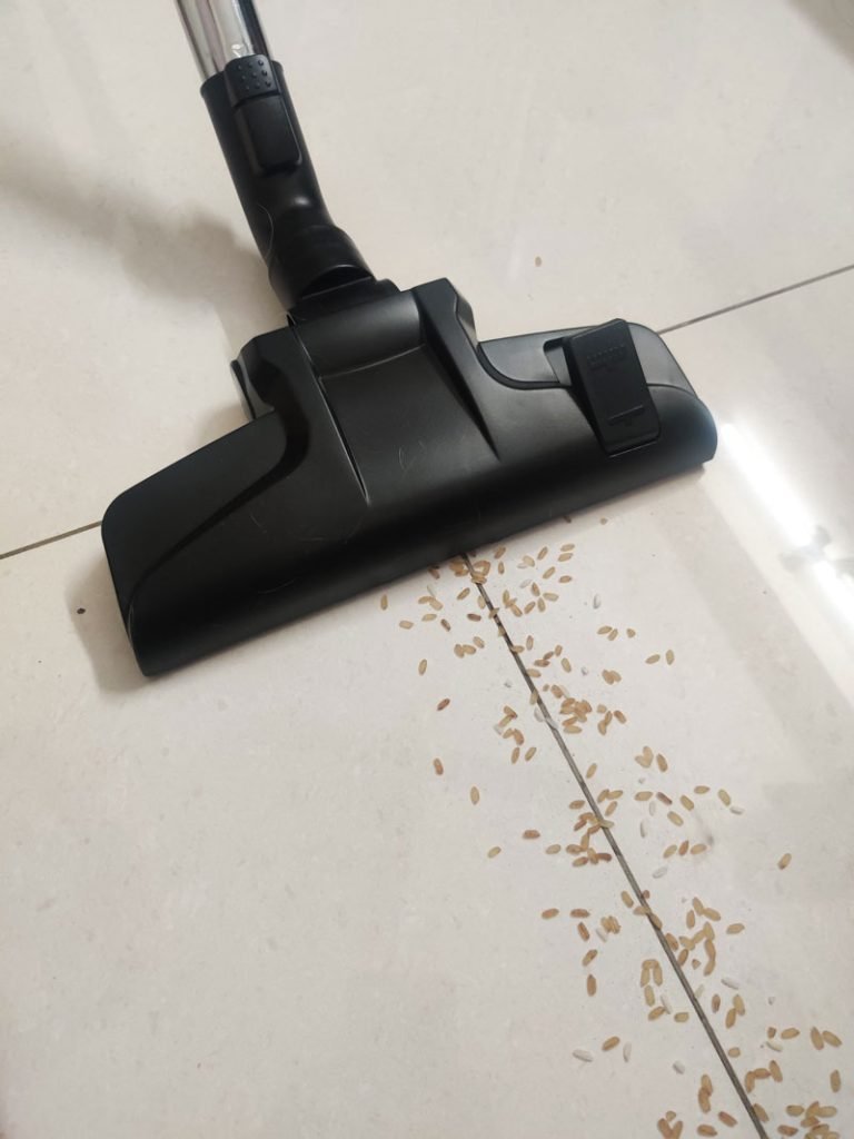 removing rice for tests to find best vacuum cleaner for home in India